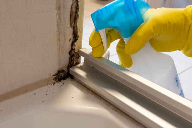 Best Crawl Space Mold Remediation in Medford Lakes, NJ