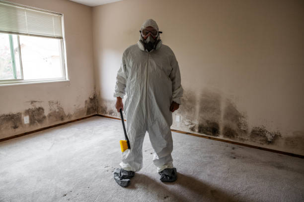 Best Industrial Mold Remediation in Medford Lakes, NJ